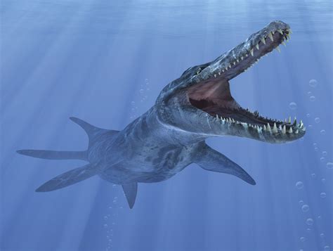 kronosaurus rex.